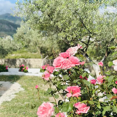 Cozy Village Nyaraló *
